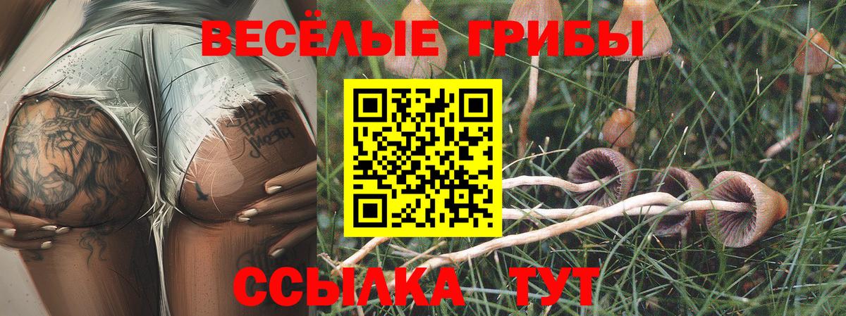 Псилоцибиновые грибы Magic Shrooms Усинск
