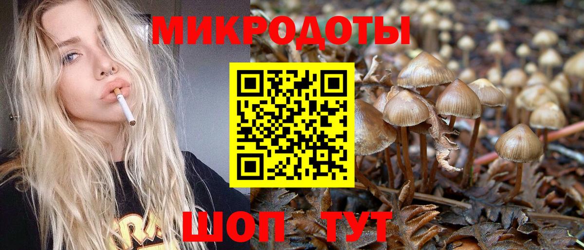 Усинск  Псилоцибиновые грибы MAGIC MUSHROOMS  Вход с VPN 