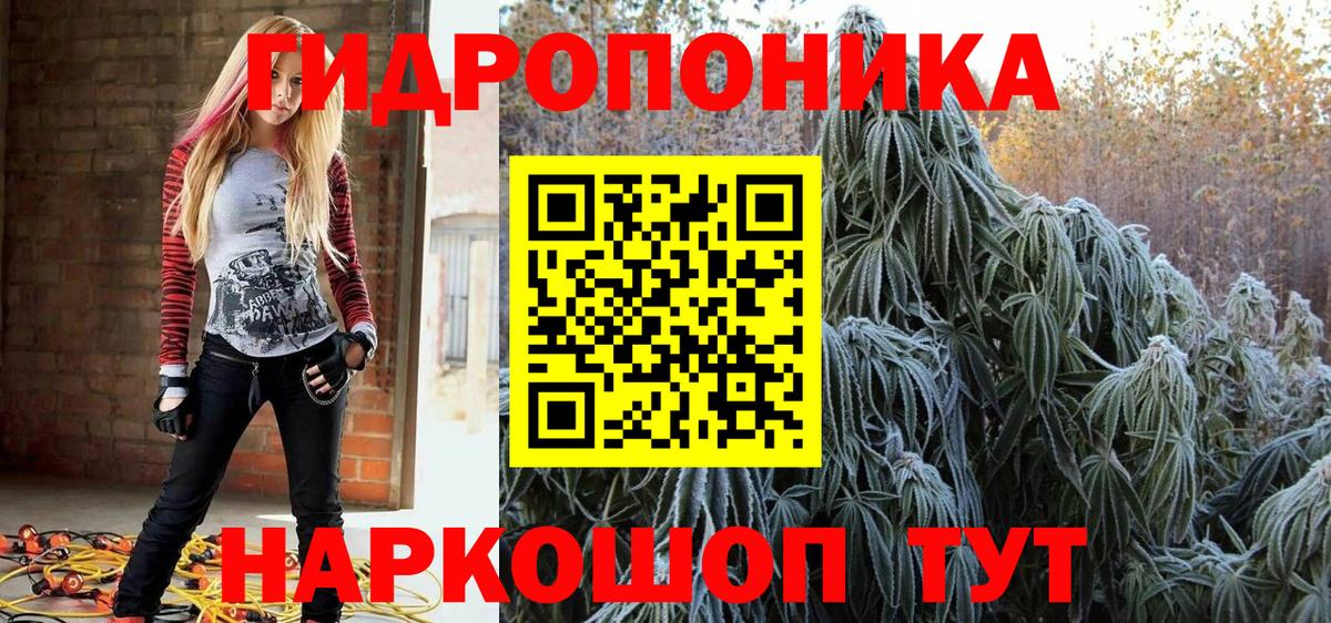 Бошки Шишки сатива Усинск